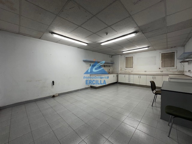 Nave industrial en alquiler con grúas para 20 Tm