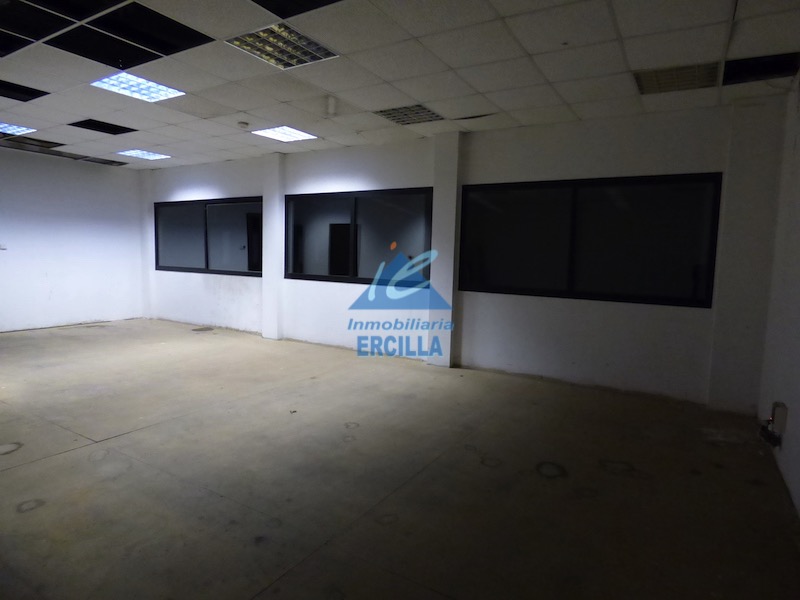 Imagen de Nave industrial con muelles de carga en Arrigorriaga