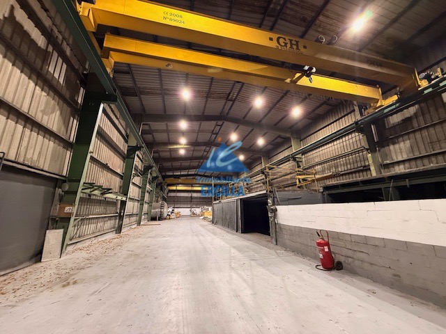 Nave industrial en alquiler con grúas para 20 Tm