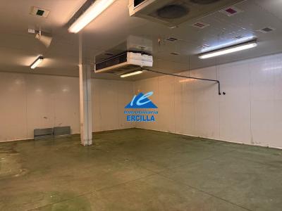 Imagen 2 de Nave industrial en venta en Gallarta