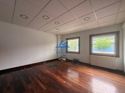 Imagen 13 de Nave industrial en venta en Gallarta