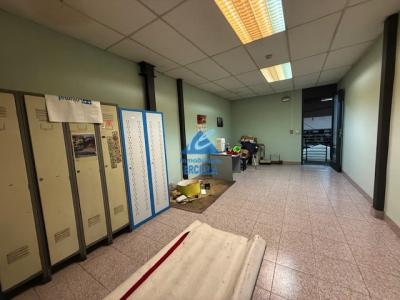 Pabellón industrial en venta