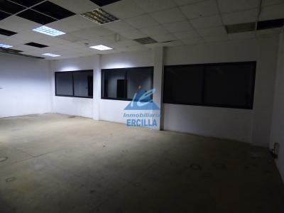 Imagen 10 de Nave industrial con muelles de carga en Arrigorriaga