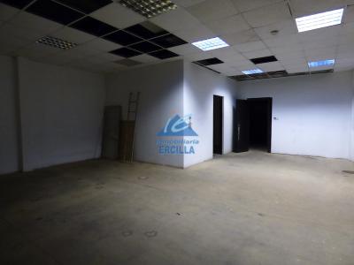 Imagen 9 de Nave industrial con muelles de carga en Arrigorriaga