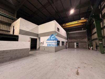 Nave industrial en alquiler con grúas para 20 Tm