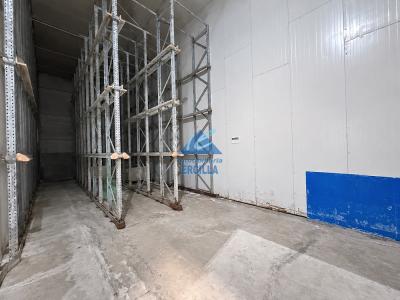 Miniatura de Pabellón industrial en alquiler con cámaras en Etxebarri