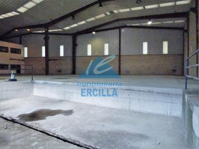 Imagen 6 de Pabellón industrial en alquiler con grúa puente en Arrigorriaga