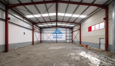 Miniatura de Nave industrial en venta en Mendaro