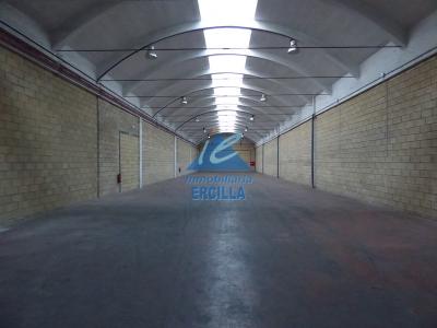 Nave industrial en alquiler con muelles de carga 