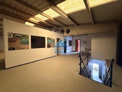 Imagen 6 de Nave industrial en venta en Balmaseda 